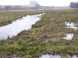 Oostervoortsche Diep