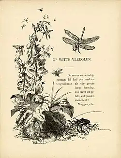 Illustratie met vingerhoedskruid en insecten voor Op witte vleuglen