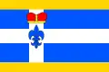 Vlag