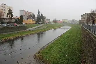 De Opava, stromend door de gelijknamige stad