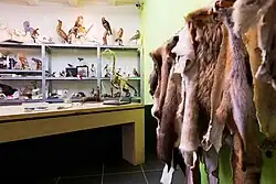 Open atelier in het museum