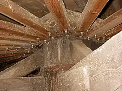 Koning met kraagstuk