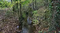 Kikbeek in Opgrimbie