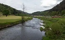Oppenau, rivier: de Rench