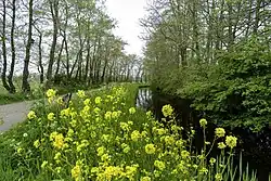Opvaart van Eestrum naast de Marwei (Meerweg)