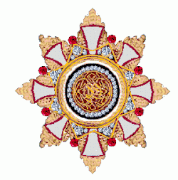 Een met diamanten en robijnen versierde ster van de Bijzondere Klasse