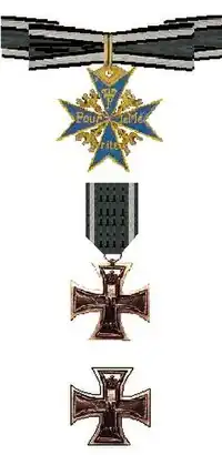 Pour le Mérite en IJzeren Kruis