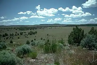 De Oregon High Desert nabij Frenchglen in 2008