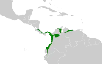 Bruinkapvliegenpikker