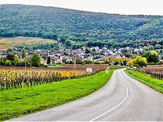 Gezicht op Orschwihr, 2022