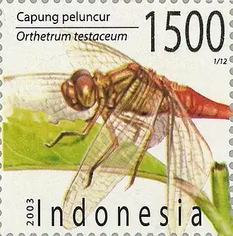 Orthetrum testaceum