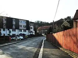 Straat in Otvovice (1)