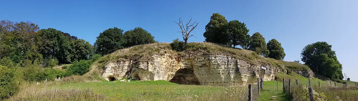 De kalksteenwand van de Daolkesberg