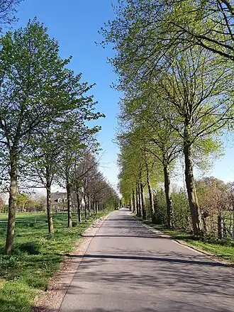 Oudaseweg