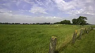 Restant van de dijk ten oosten van Houwerzijl met links de Oude Zuurdijkster Uiterdijkspolder