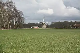 De Zwaluw, 29 maart 2009