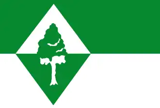 De vlag van Oudenbosch