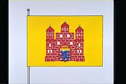 Officiële tekening van de vlag