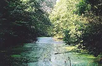 Ourthekanaal, overwoekerd kanaalpand bij Bernistap
