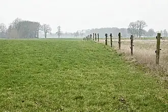 Stroomruggen langs de Linderbeek bij de Marleseweg te Den Ham