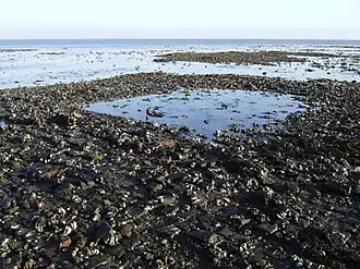 Ondergelopen strand met zicht op de vermoedelijke fundering van de kerktoren van het verdronken dorp