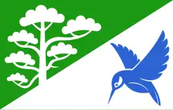 Vlag van de gemeente Põlva vald