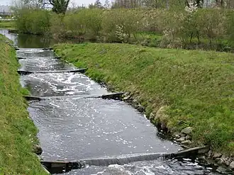 Vistrap in de Bornse Beek tussen Hengelo en Borne