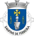 Vlag van Sanfins de Ferreira