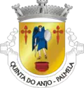 Vlag van Quinta do Anjo