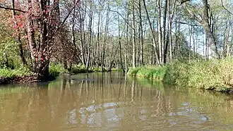 Roztoczański Park Narodowy