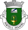 Vlag van Portela