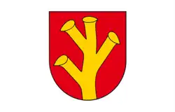 Vlag van gemeente Rychwał