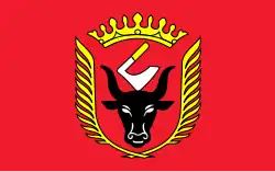 Vlag van gemeente Wiskitki