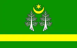 Vlag van gemeente Adamów