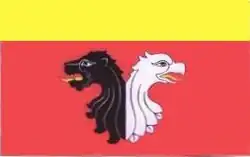 Vlag van gemeente Bądkowo