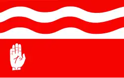 Vlag van gemeente Brodnica