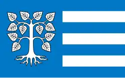 Vlag van gemeente Brzeżno