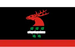 Vlag van gemeente Brzozie