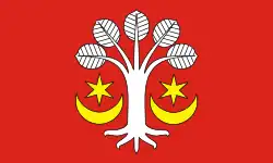 Vlag van gemeente Bukowiec