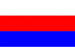 Vlag van gemeente Choczewo