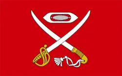 Vlag van gemeente Cyców