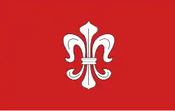 Vlag van gemeente Dąbrówno