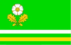 Vlag van gemeente Dąbrowa Zielona