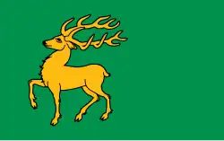 Vlag van gemeente Drawsko