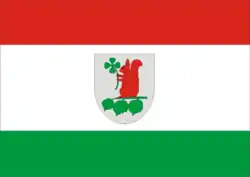 Vlag van gemeente Elbląg