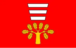 Vlag van gemeente Hańsk