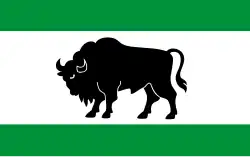 Vlag van gemeente Hajnówka