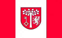 Vlag van gemeente Jodłownik