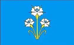 Vlag van gemeente Kąkolewnica Wschodnia