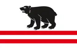 Vlag van gemeente Kłoczew